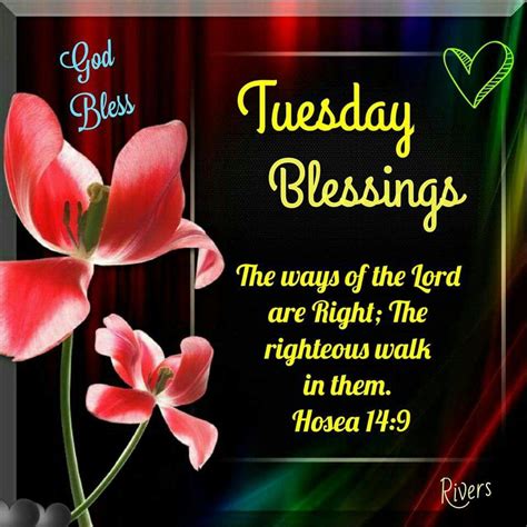 Embrace the power of Tuesday blessings with inspiring quotes, images, and prayers. Brighten your day and cultivate positivity. Explore the joy of uplifting Tuesdays now! ... Embrace Tuesday Blessings: Quotes, Images, and Prayers. By Haki Tran December 28, 2023 January 5, 2024.